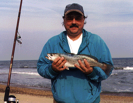 speckled trout